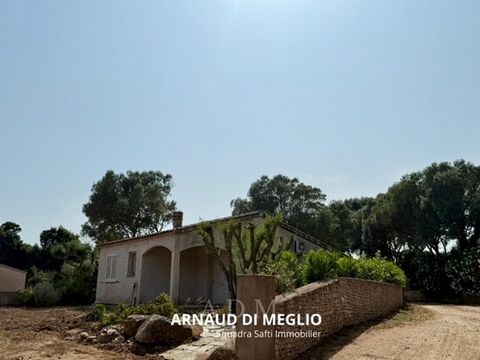 photo no. 8