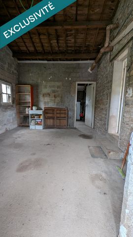 photo no. 8