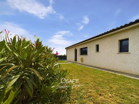 photo no. 13