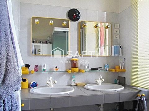 photo no. 11