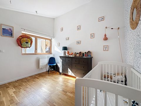 photo no. 7