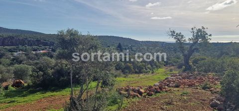 Moradia devoluta em Moncarapacho! A ruína com dois artigos urbano e rústico foi recuperada, tem uma área de 88 m2 e é vendido com a possibilidade de fazer um PIP à C.M.O para um projeto de uma moradia isolada com o terreno de 6500m2. Relativamente ce...