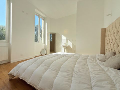 photo no. 6