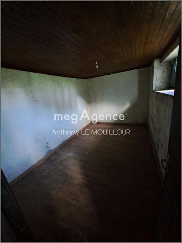 photo no. 2