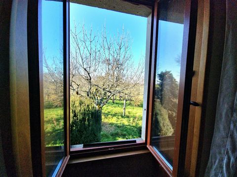 photo no. 16