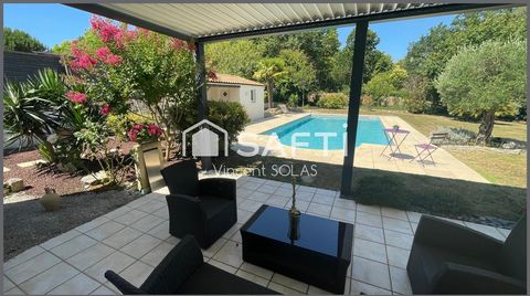 photo no. 13