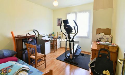 photo no. 11