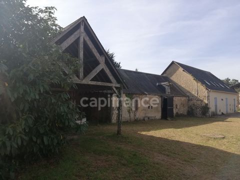 photo no. 2