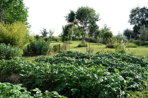 photo no. 4