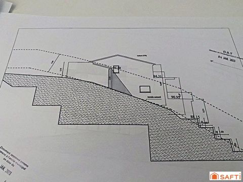 photo no. 14