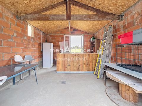 photo no. 11