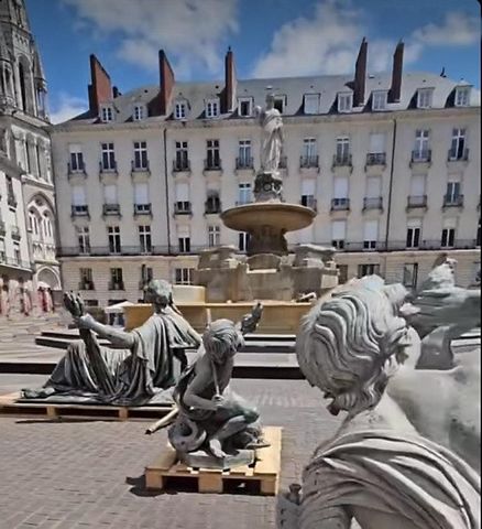 "Exceptionnel" Place Royale Appartement T4