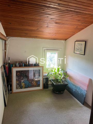 photo no. 11