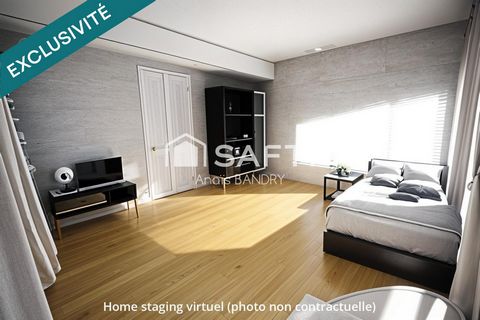 photo no. 11