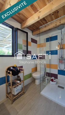 photo no. 12