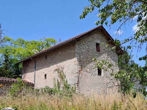 photo no. 14