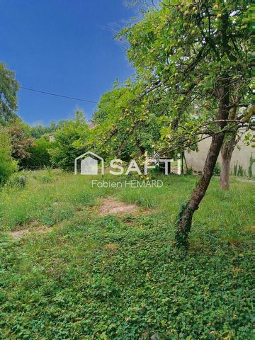 photo no. 8