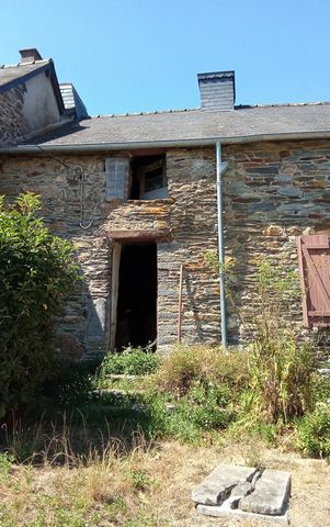 photo no. 5
