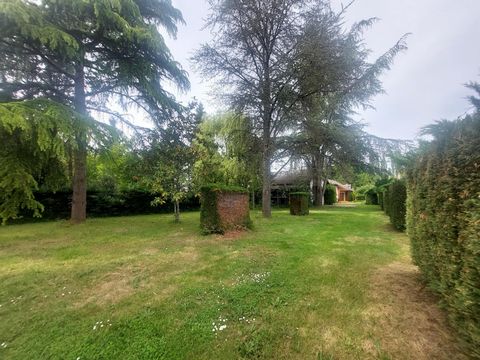 photo no. 11
