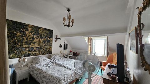 photo no. 10