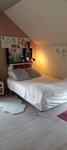 photo no. 18