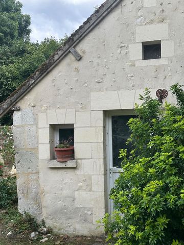 photo no. 12