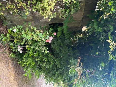 photo no. 14