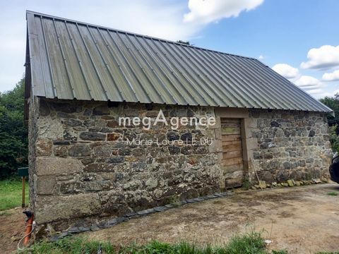 photo no. 16