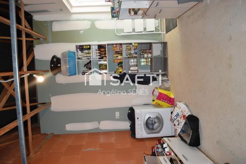 photo no. 13