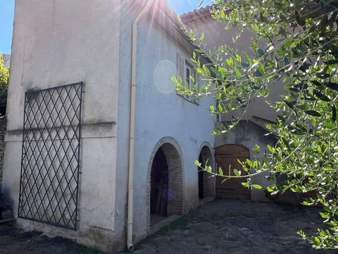 photo no. 10