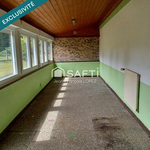 photo no. 7