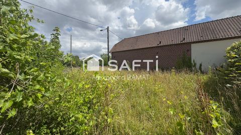 photo no. 9