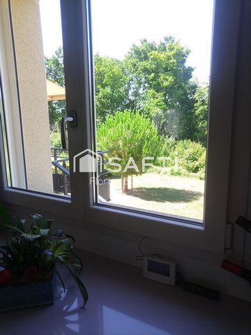 photo no. 11