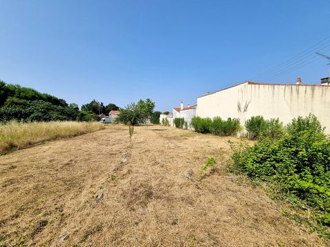 photo no. 5