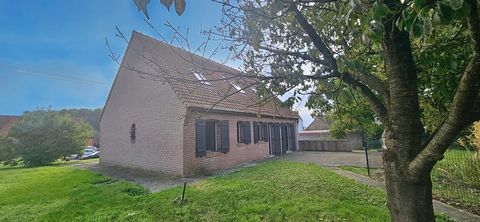 photo no. 6