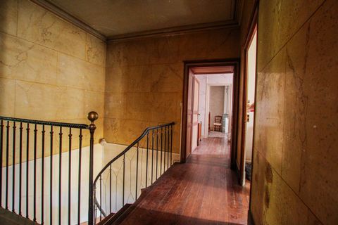 photo no. 6