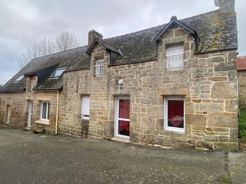 photo no. 6