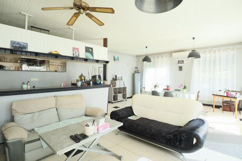 photo no. 2