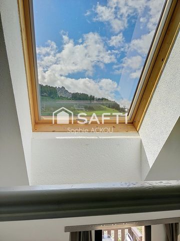 photo no. 8