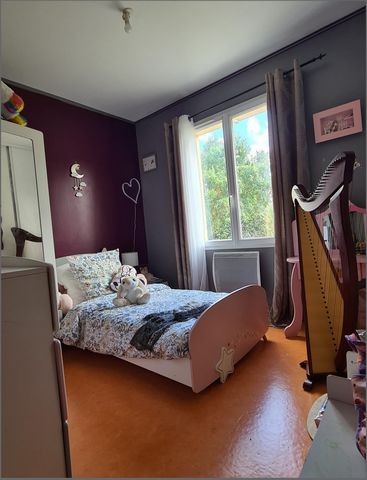 photo no. 12