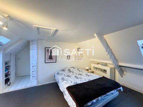 photo no. 11