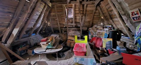 photo no. 12