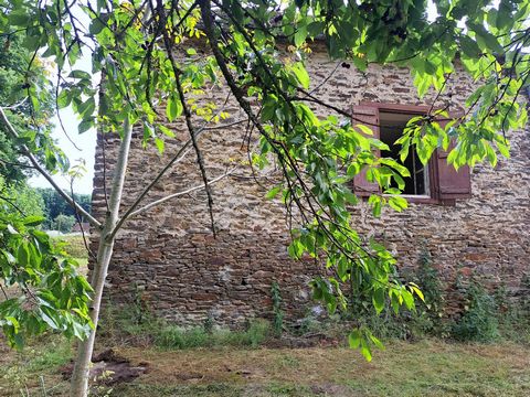 photo no. 9