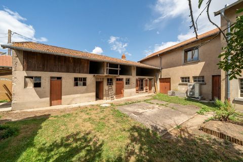 photo no. 14