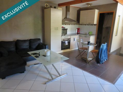 appartements duplex + studio