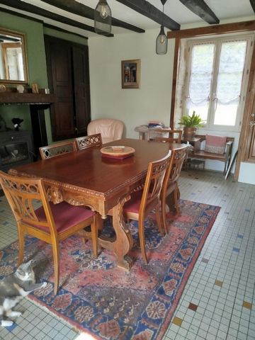 photo no. 8