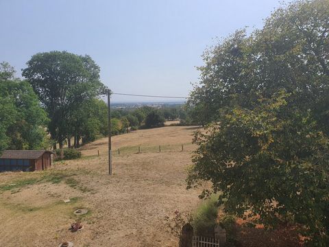 photo no. 13