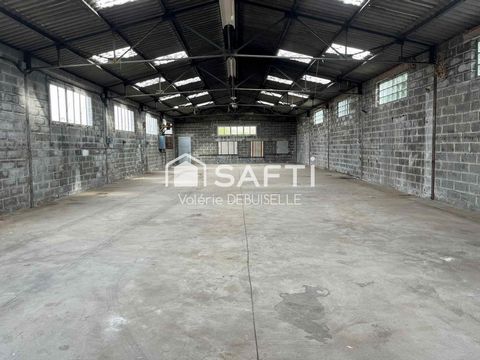 photo no. 10