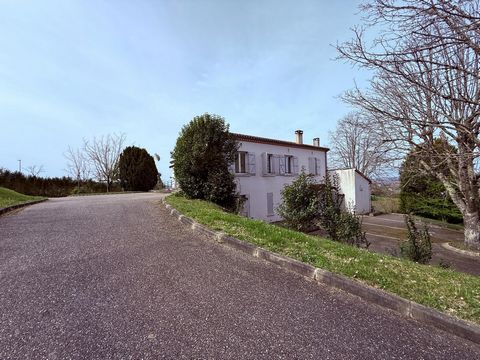 photo no. 2