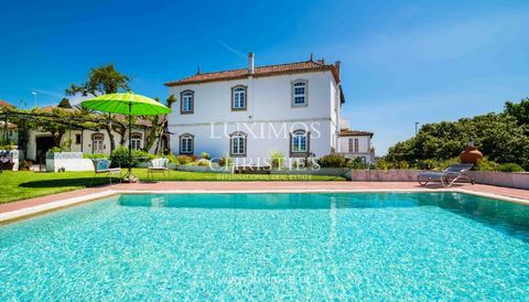 Beautiful vineyard  with wine production, which started in the seventeenth century by the friars of the Convent of Leça do Balio. This real estate property consists of several buildings, among them a magnificent house, fully restored, maintaining the...